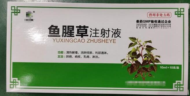 魚腥草注射液，清熱解毒，消腫排膿，利尿通淋，主治:肺癰，痢疾，乳癰，淋濁。
