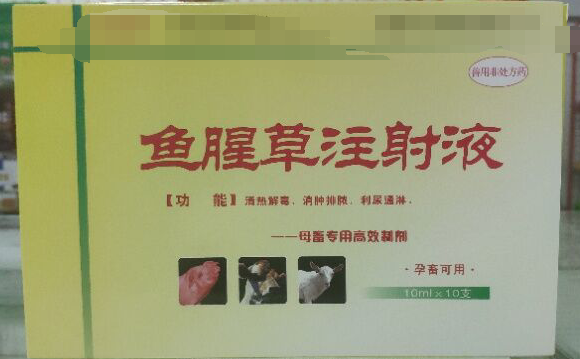 魚腥草注射液，清熱解毒，消腫排濃，利尿通琳，乳房脹痛，排尿不暢等