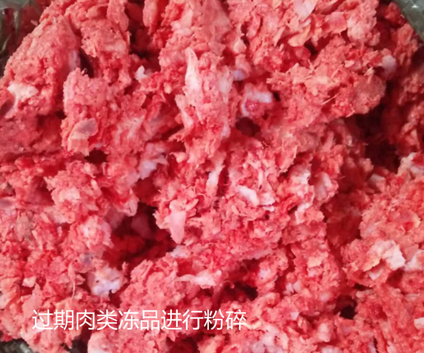 過期肉類凍品進(jìn)行粉碎.jpg