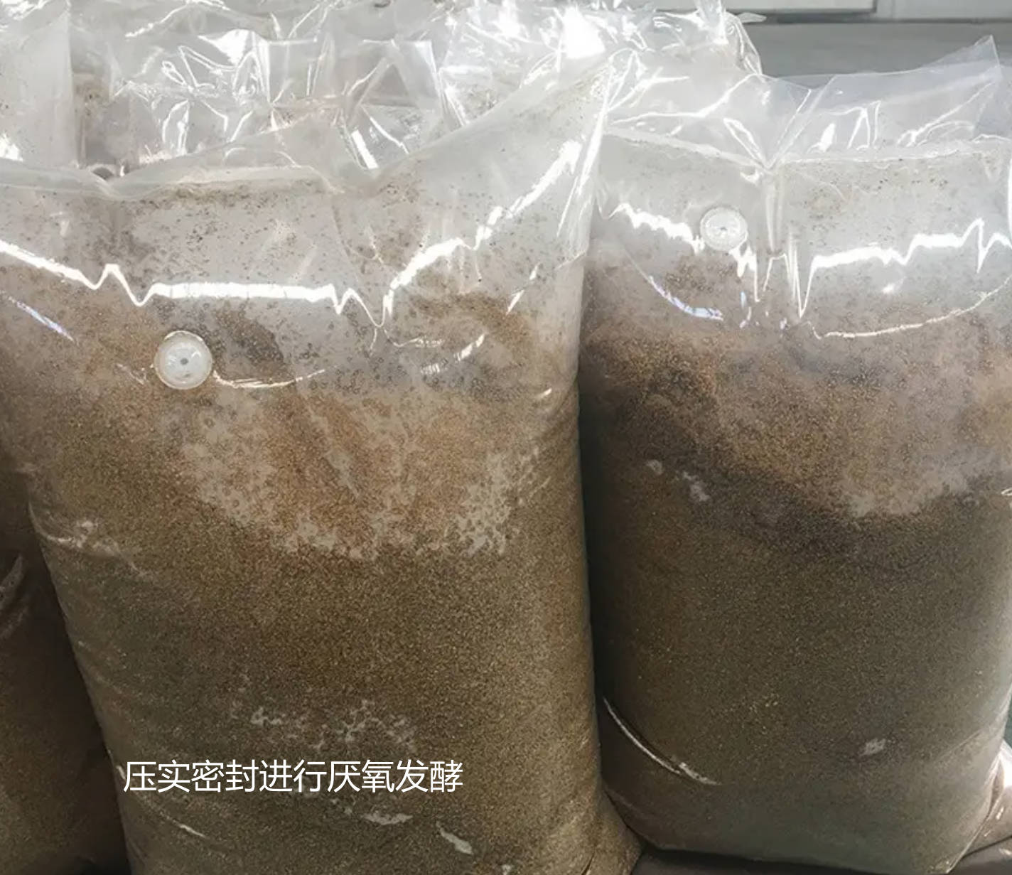 壓實密封進(jìn)行厭氧發(fā)酵.jpg