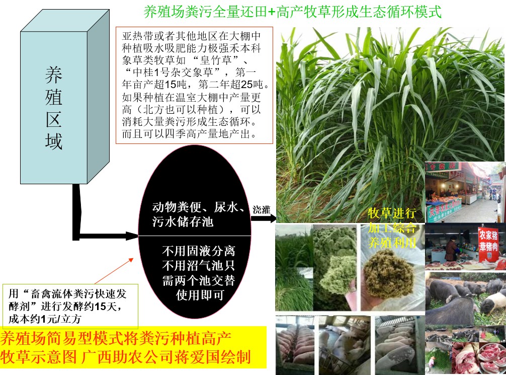 養(yǎng)殖場(chǎng)糞污全量還田+高產(chǎn)牧草形成生態(tài)循環(huán)模式.jpg