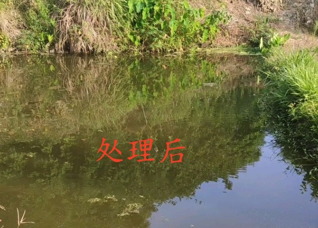 圖片8.png